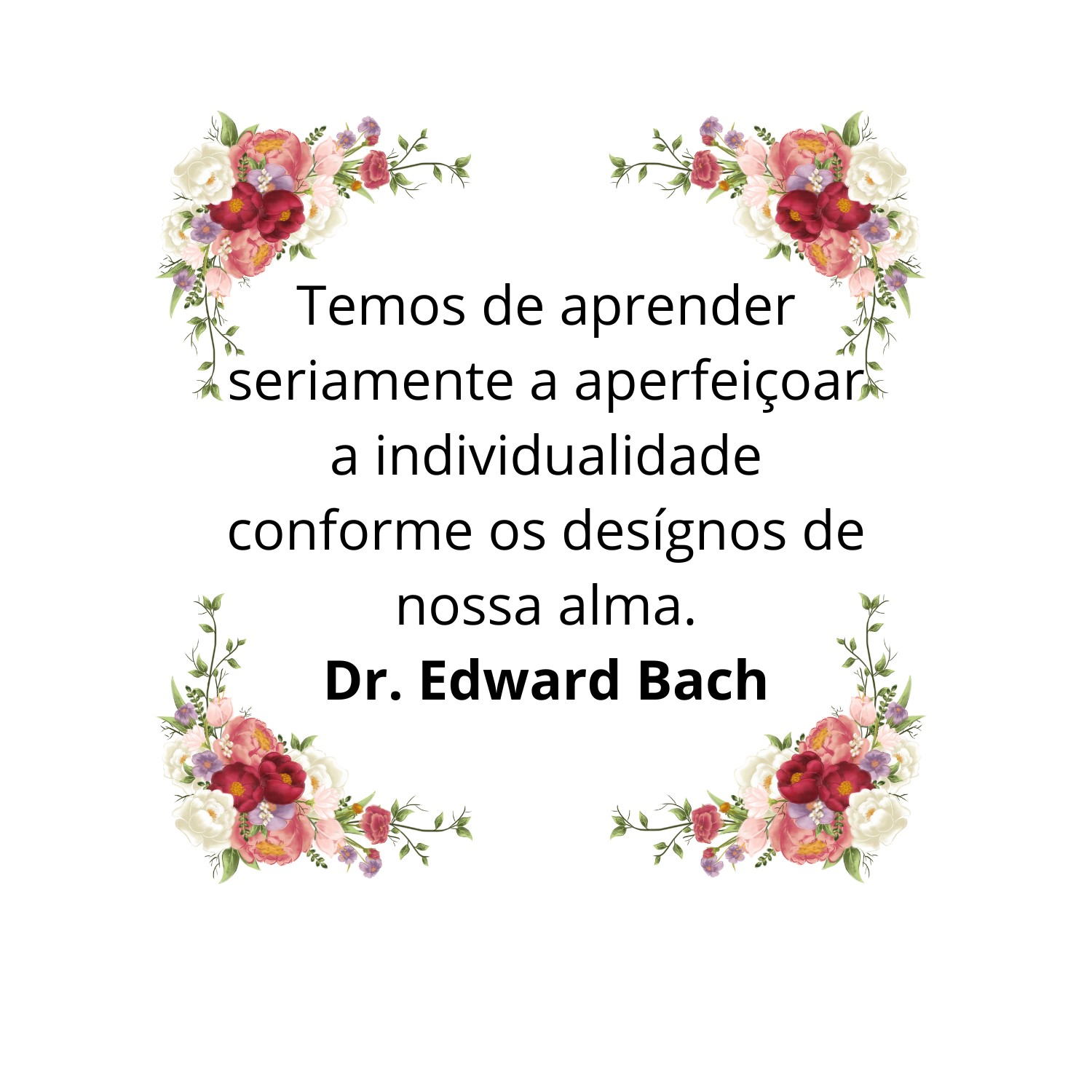 Imagem da apostila